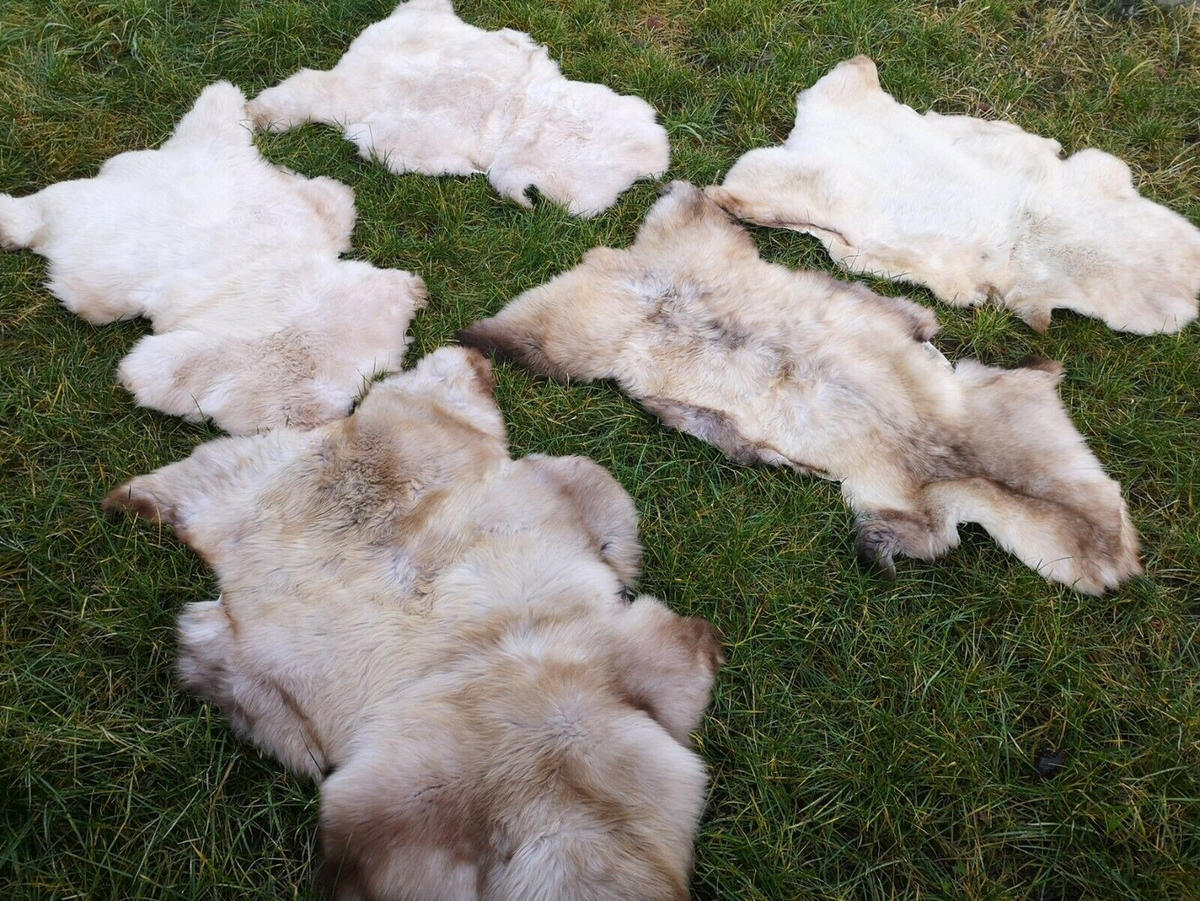 FELL Öko Lammfell Schaffell Natur Geflammt ca. 125 cm - Hellbraun/Beige, Fell (70/125cm) - Provellus