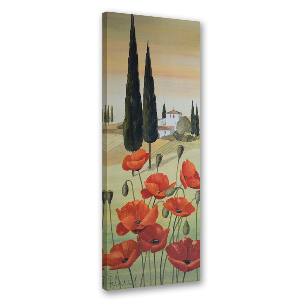 WANDBILD toskanische landschaft mit mohnblumen - Rot, Textil (30/90cm) - Feeby