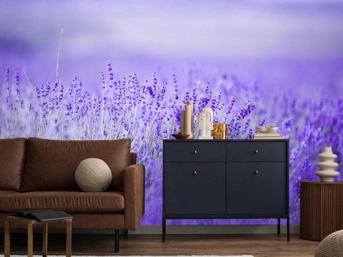 FOTOTAPETE für Küche Lavendelwiese Blüten Fliederfeld 500x350 - Violett/Lila, Papier (500/350cm) - Muralo