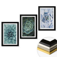 WANDBILDER 3er-Set - 20x30 cm Schwarzer Rahmen - Sukkulente Pflanzen grün türkis - Schwarz, Kunststoff (20/30cm) - ArtPrintCave