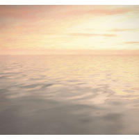 FOTOTAPETE Meer 300 x 280 cm - Pink, Papier (300/280cm) - Sanders & Sanders