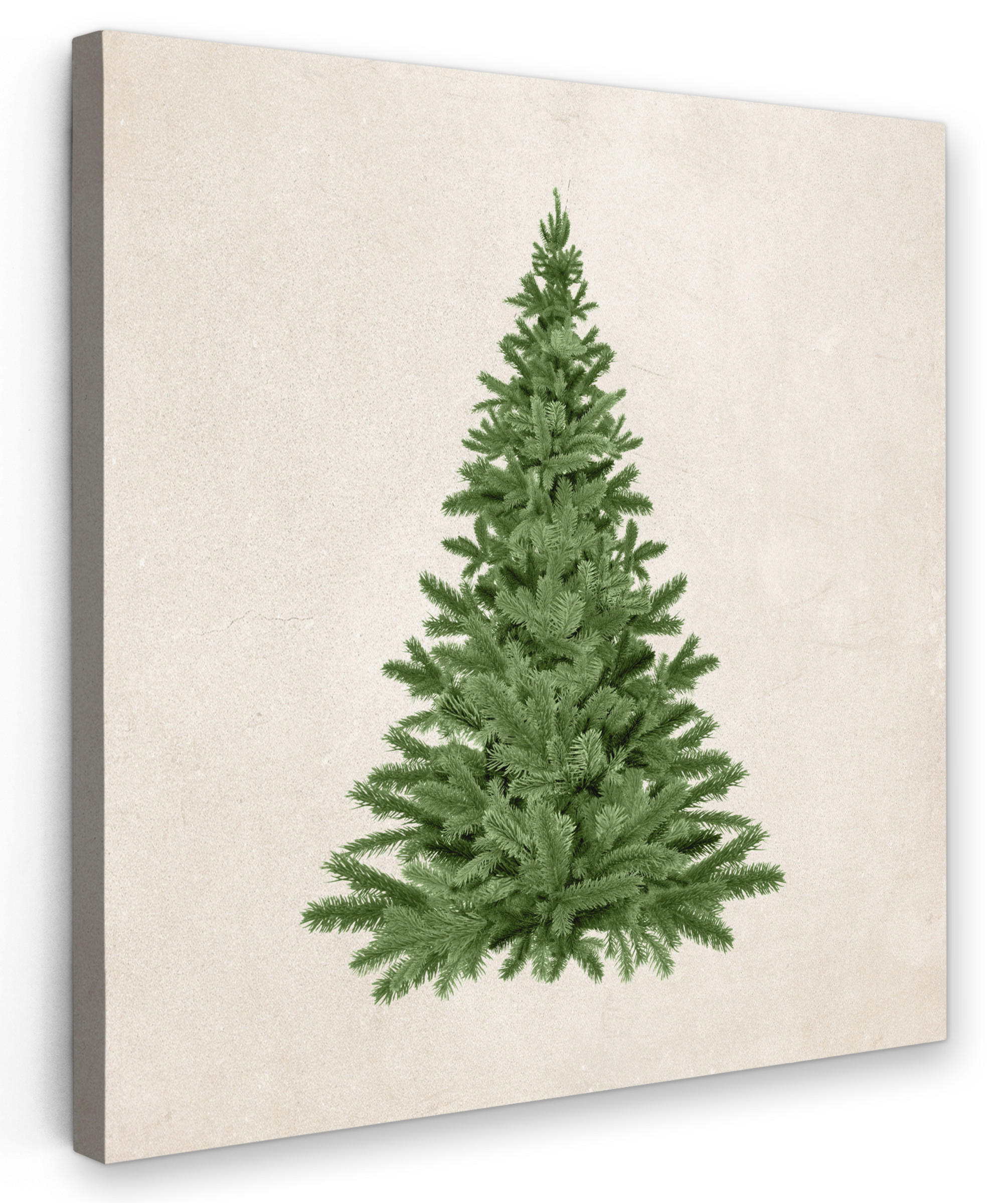 LEINWANDBILD Weihnachtsbaum - Grün - Weihnachten - Feiertage 50x50 cm - Olivgrün, Textil (50/50cm) - MuchoWow