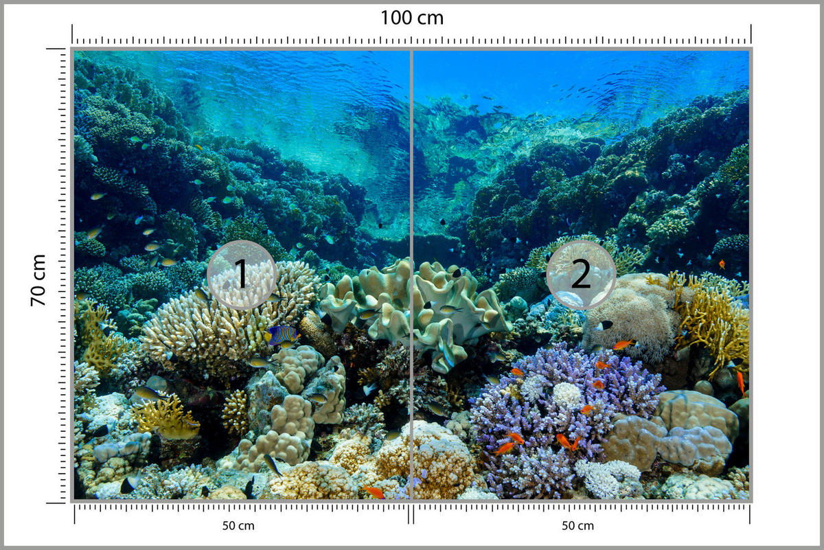 FOTOTAPETA Podmorský Svet Korálový Útes Farebné Ryby More Príroda 100 x 70 cm - oranžová/hnedá, papier (100/70cm) - Muralo