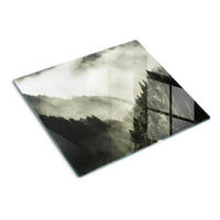 GLASPLATTE 60x52 cm Nebel über dem Wald - Schwarz, Glas (60/0.4/52cm) - TULUP