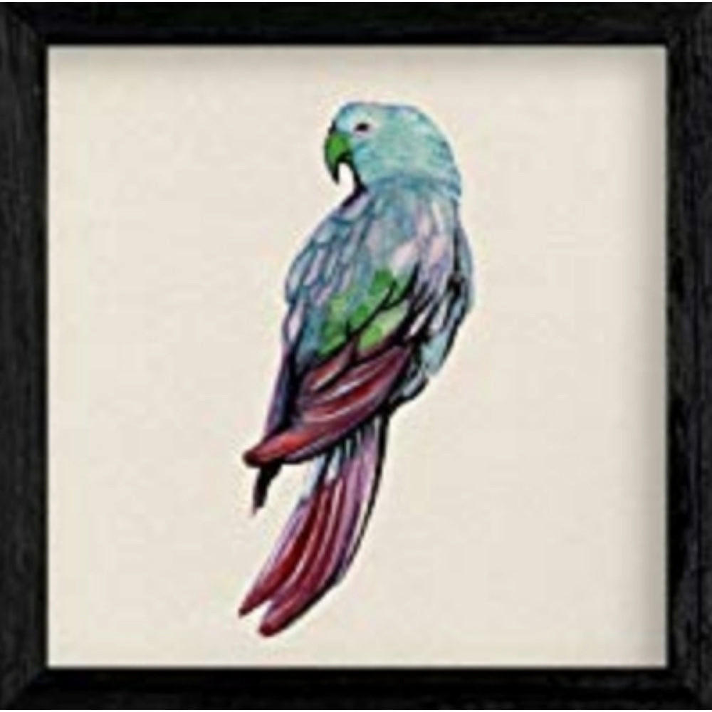POSTER Square Vogelzeichnungen Blaue Lorit 20X20cm Schwarzer Rahmen - Schwarz, Papier (20/5/20cm) - Nacnic