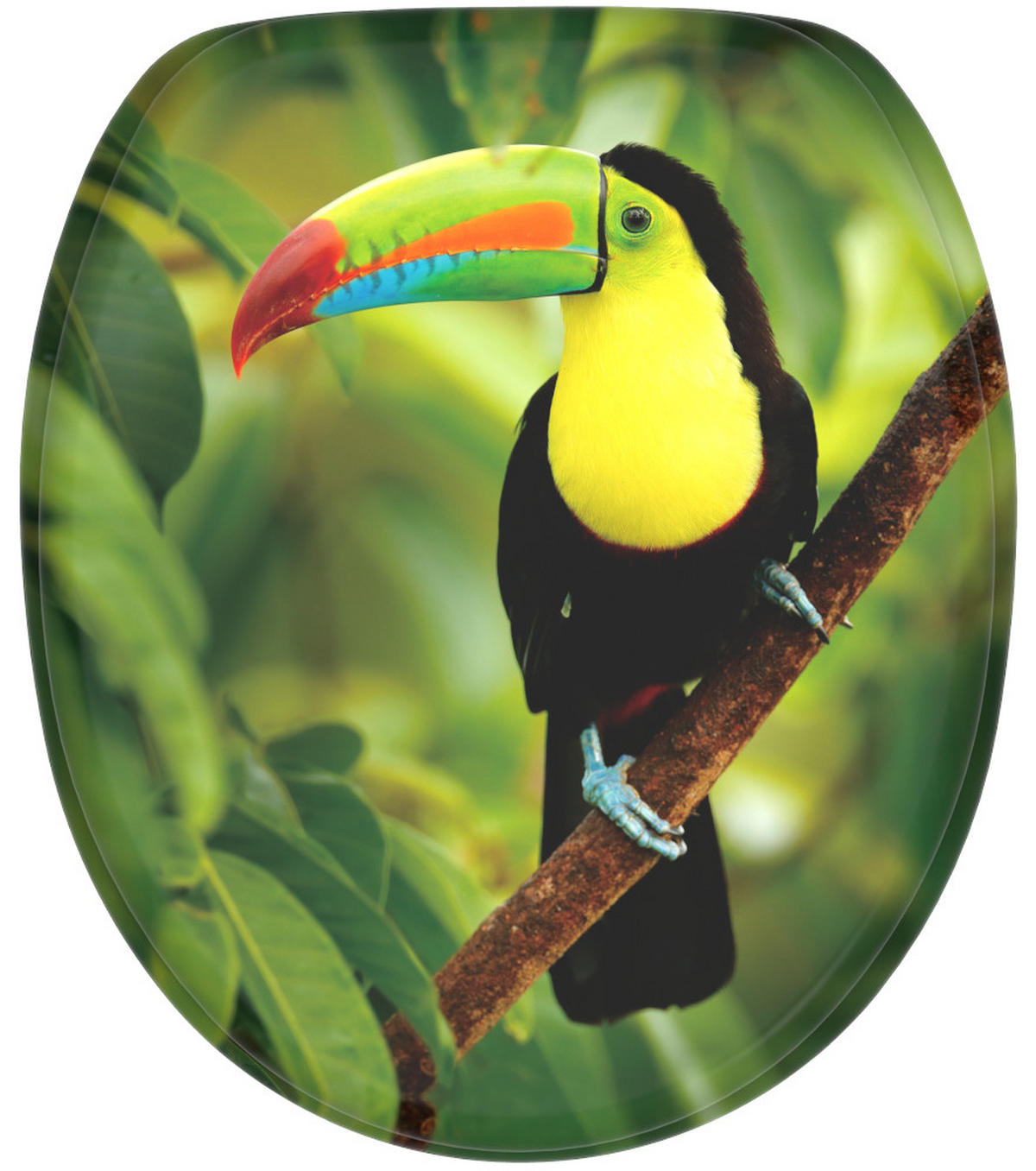 WC-SITZ mit Absenkautomatik Toucan - Grün, Holzwerkstoff (38/6/47cm) - Sanilo