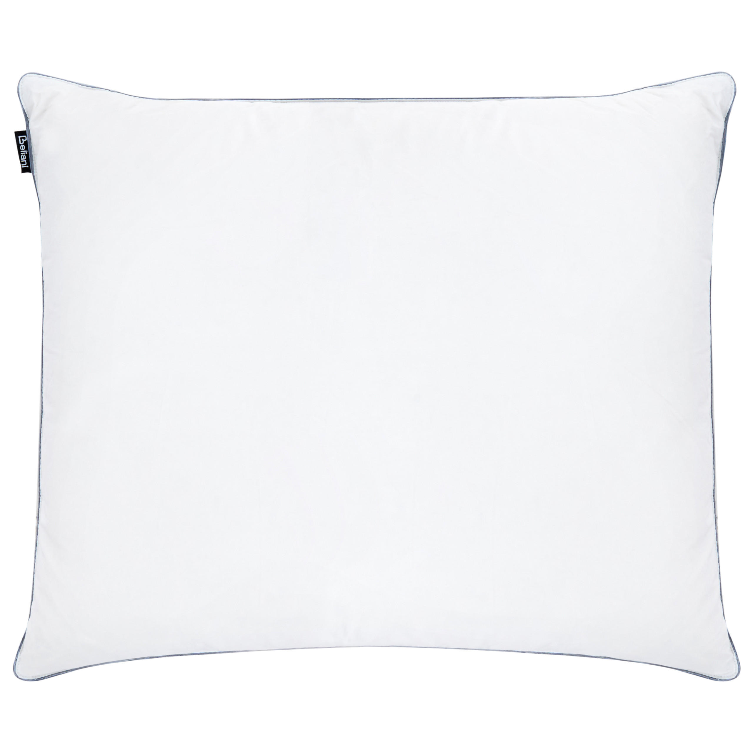 PERNA alba 50/60 cm Teide