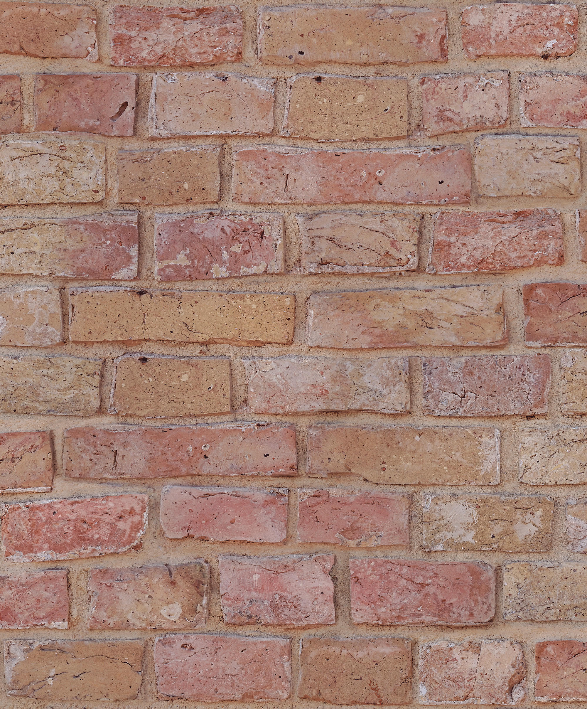 TAPETE Backstein-Optik 53 cm x 10 m - Terracotta, Papier (53/1000cm) - Sanders & Sanders