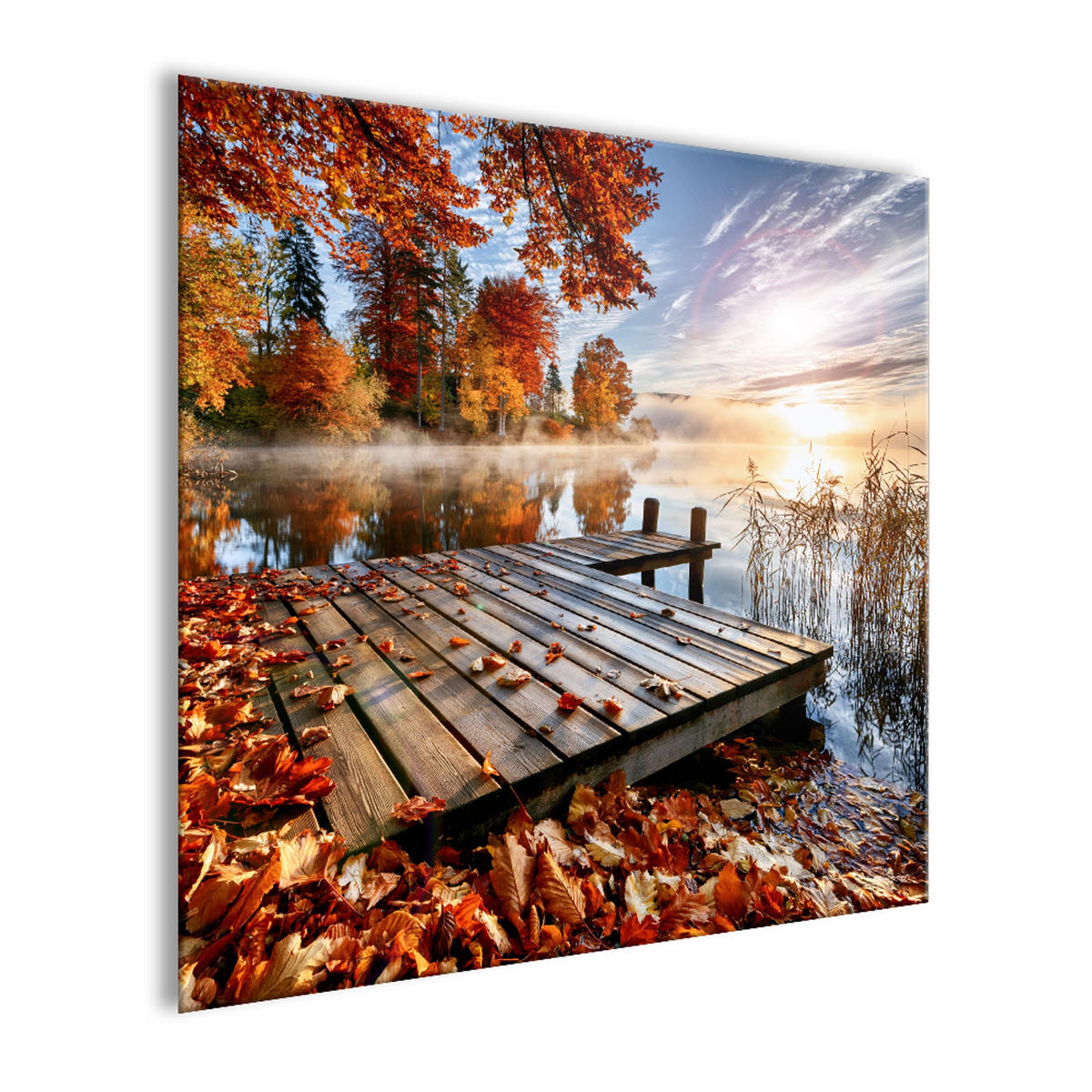 GLASBILD 50x50 cm See Steg Herbstdeko - Beige, Glas (50/50cm) - artissimo