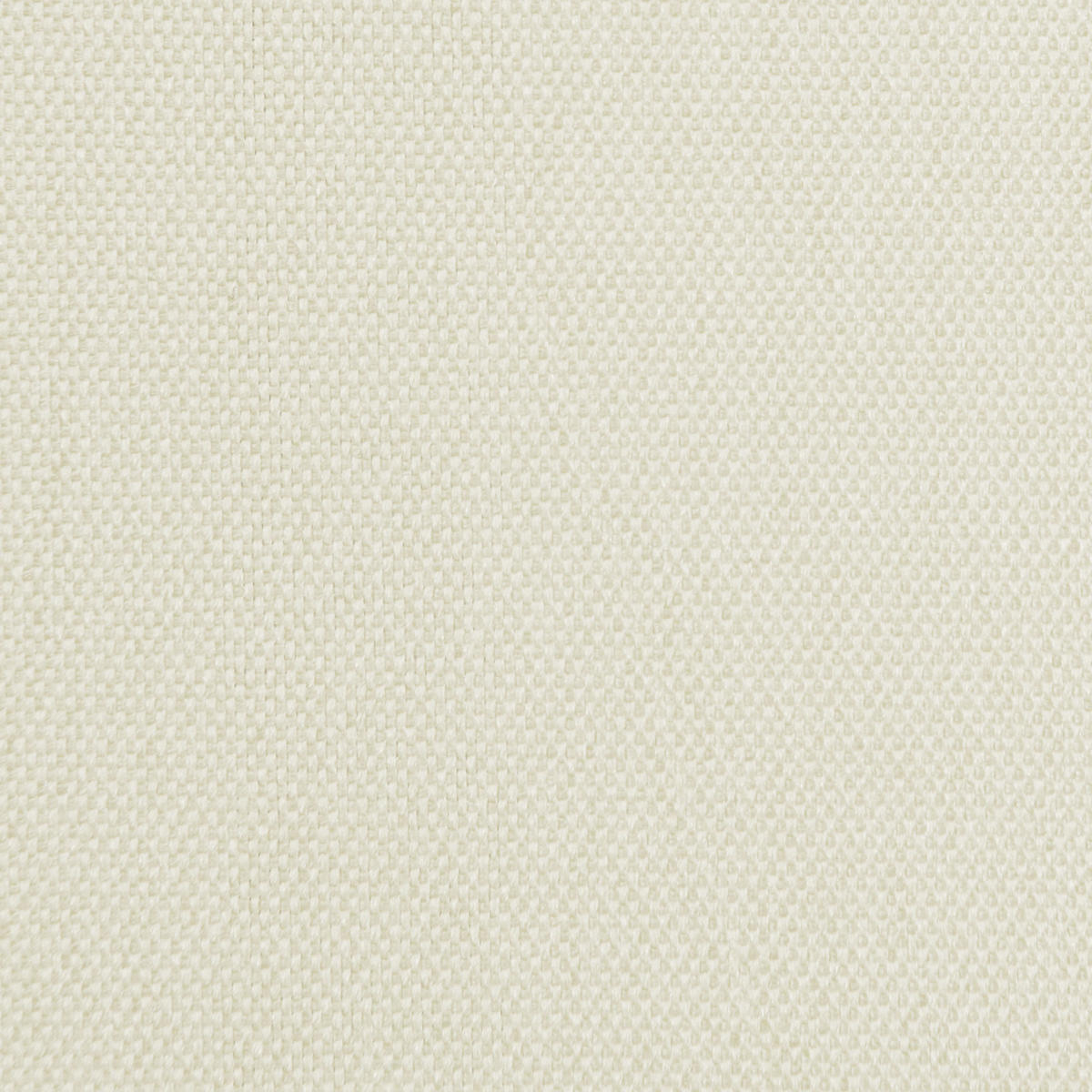 SCHLAUFENGARDINE »Palermo« HxB 250x300 cm Creme - Creme, Textil (300/250cm) - Gardinenbox