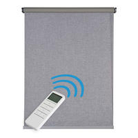 ROLLO motorisiert Silbergrau, 100 x 250 cm - Grau, Kunststoff (100/250cm) - STORESDECO