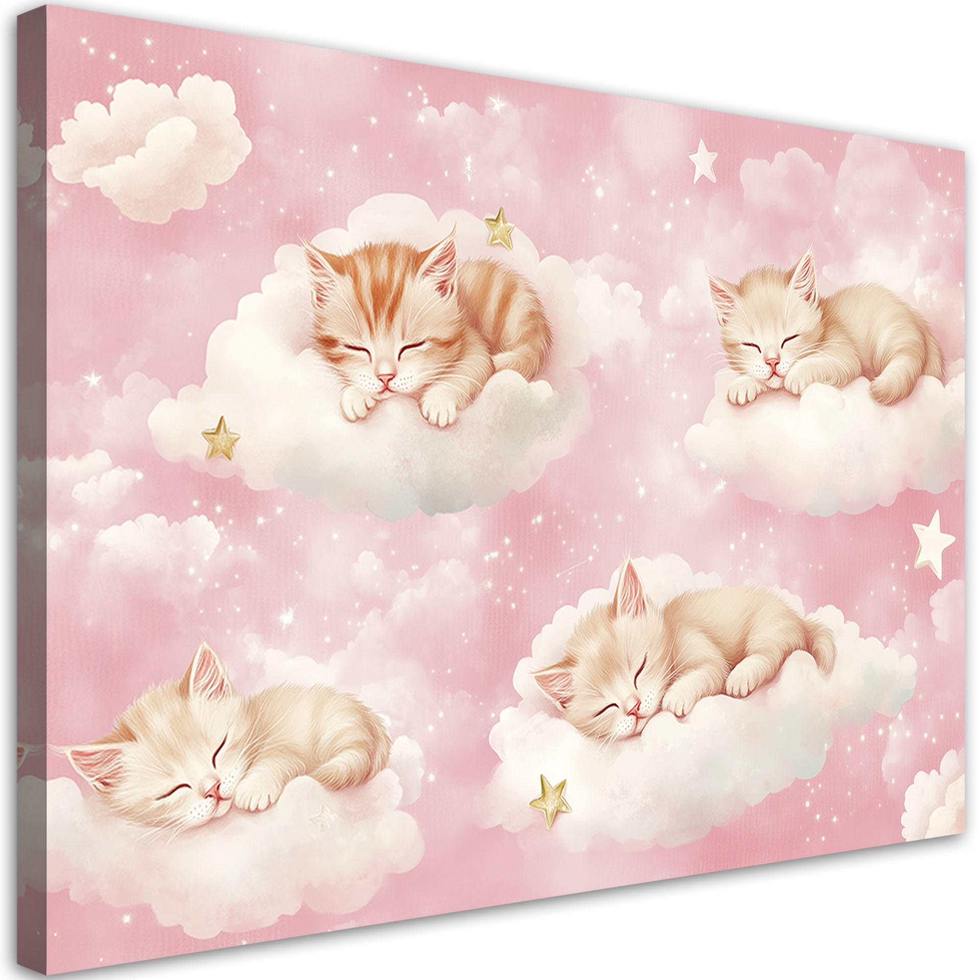 WANDBILD für kinderzimmer kätzchen in den wolken rosa - Pink, Textil (60/40cm) - Feeby