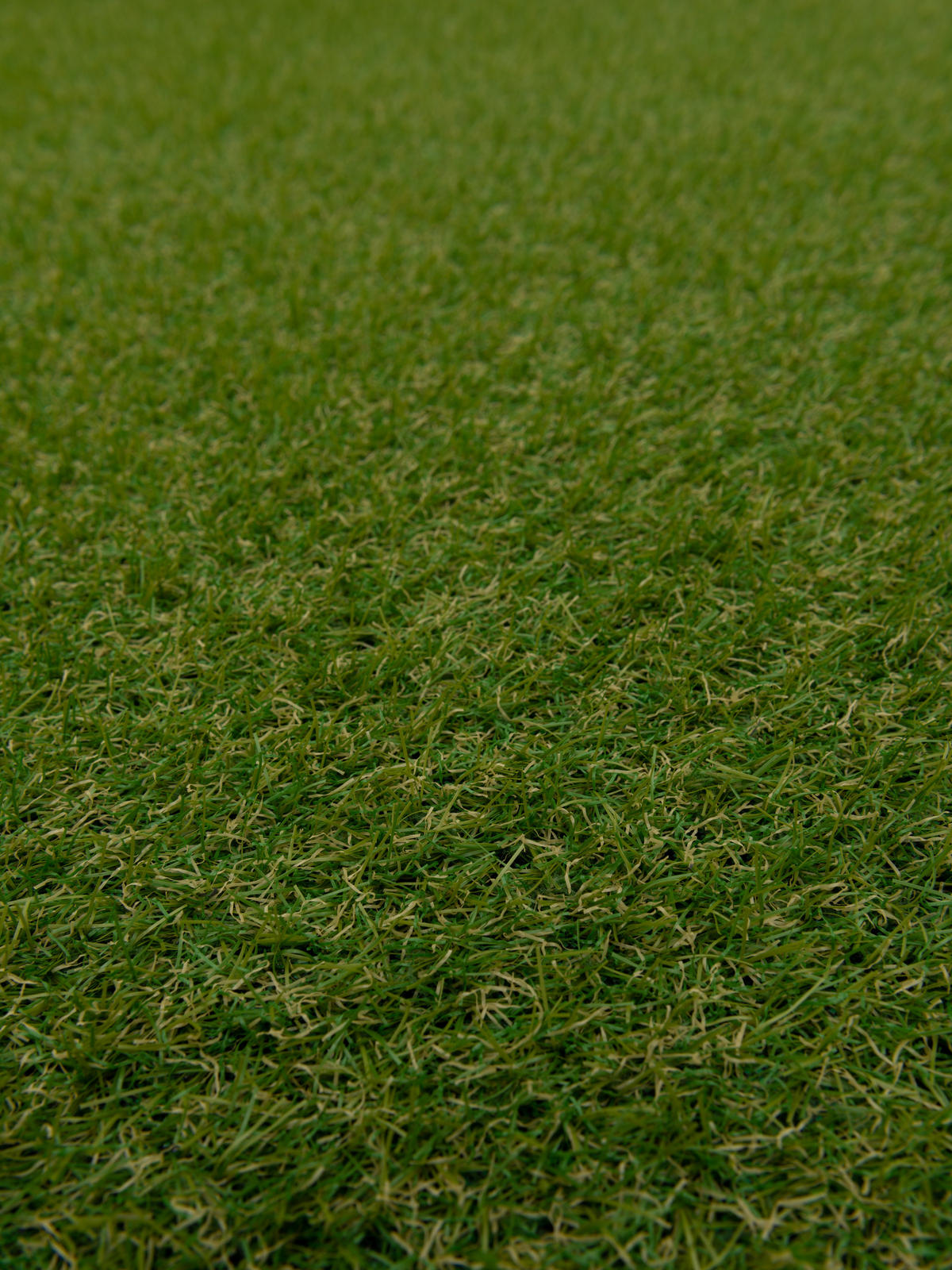 LUXUS KUNSTRASEN RASENTEPPICH WEMBLEY - Grün, Textil (200/50cm) - Snapstyle
