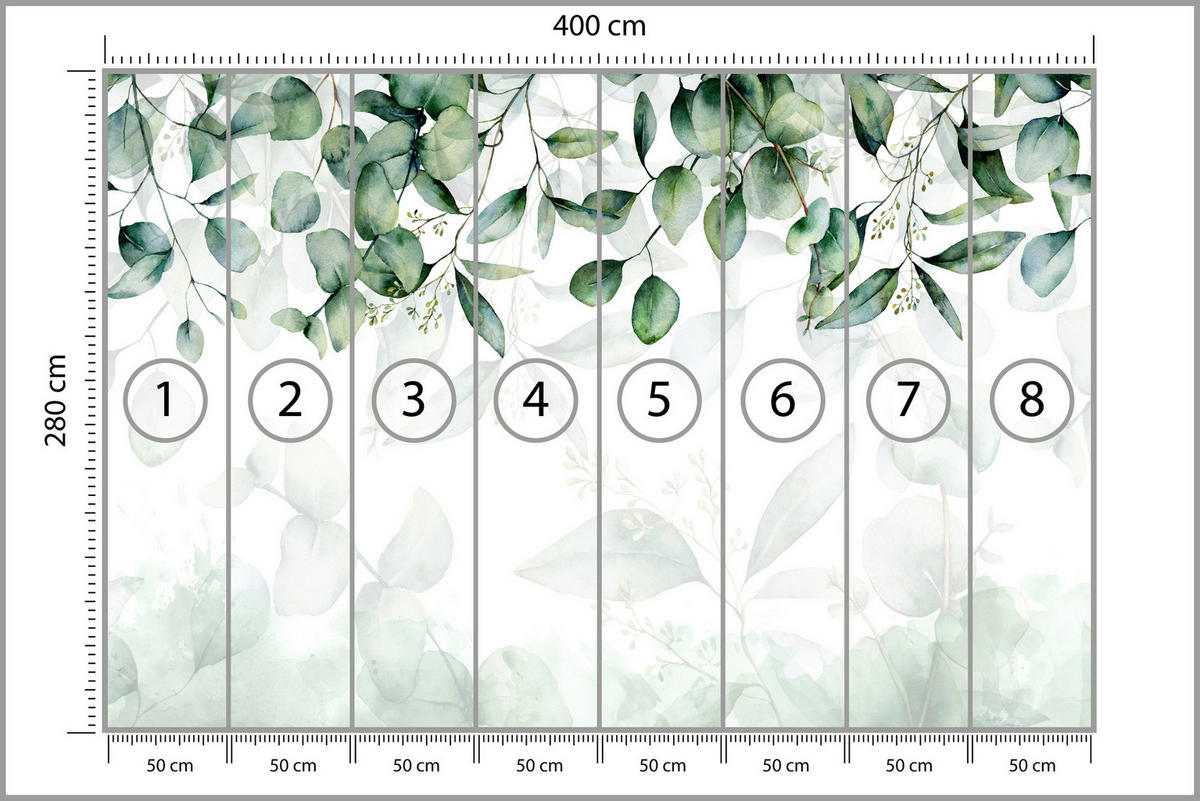 FOTOTAPETE Eukalyptus Blätter Pflanzen Natur 400x280 - Weiß/Grün, Papier (400/280cm) - Muralo