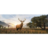 GLASBILD 125x50 cm Hirsch Tiere - Beige, Glas (125/50cm) - artissimo