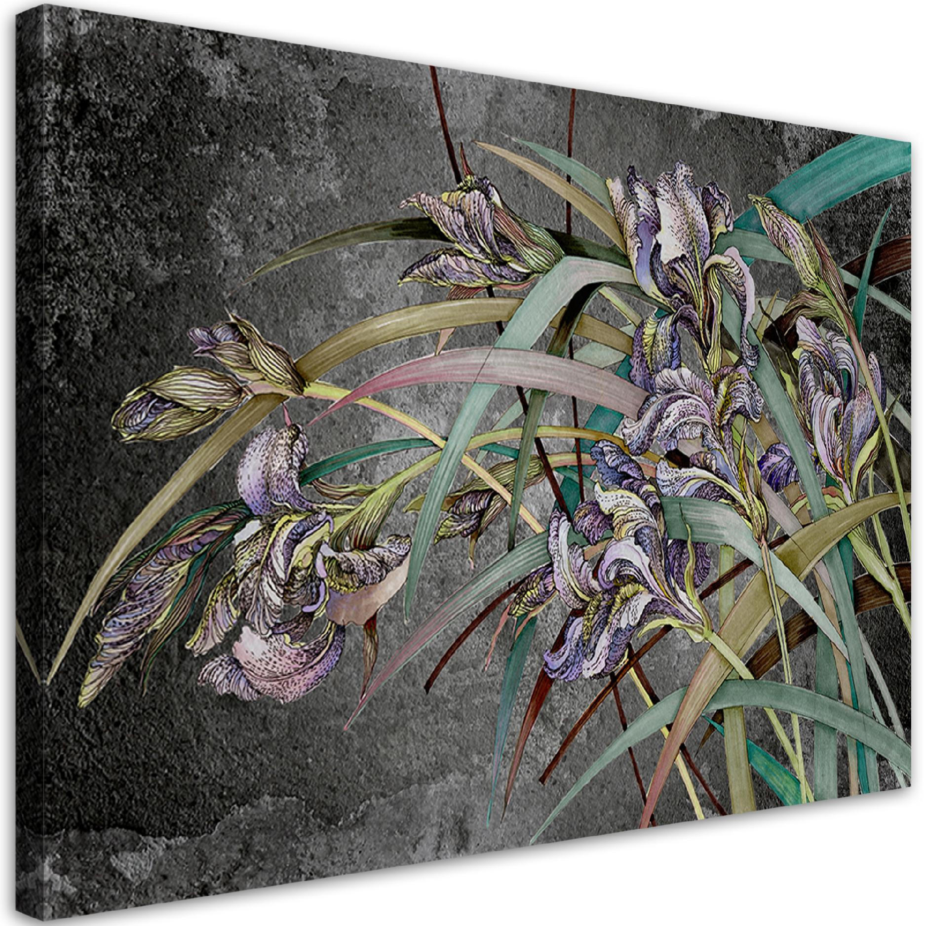 WANDBILD iris blumen im wind - Schwarz, Textil (60/40cm) - Feeby