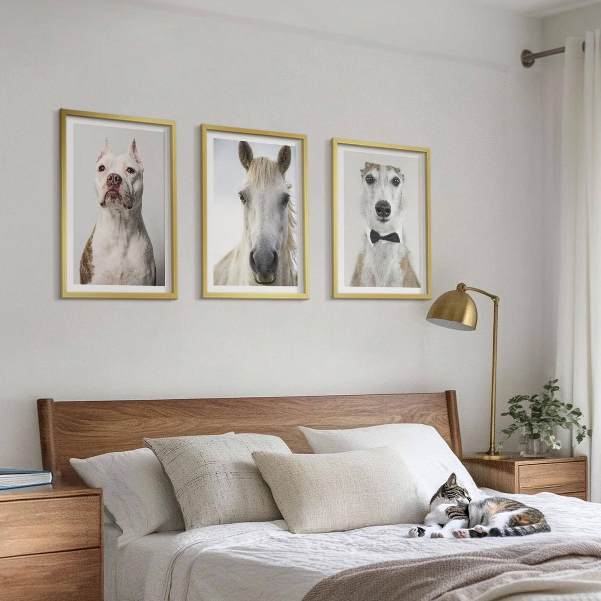 BILDER SET 3er Set - 40x60 cm Goldrahmen - Elegante Porträts von Hunden und Pferden - Goldfarben, Kunststoff (40/60cm) - TULUP