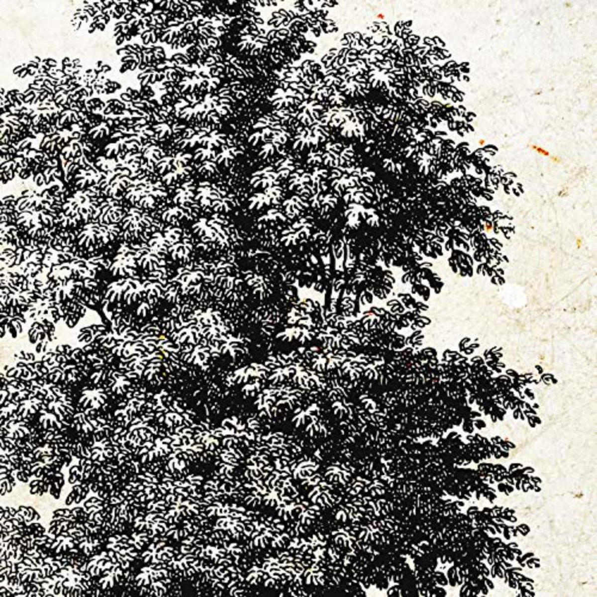 POSTER Set mit 4 Blättern der Jahrgang Hintergrund Altpapier 30x30 cm Rahmenlos - Klar, Papier (30/3cm) - Nacnic