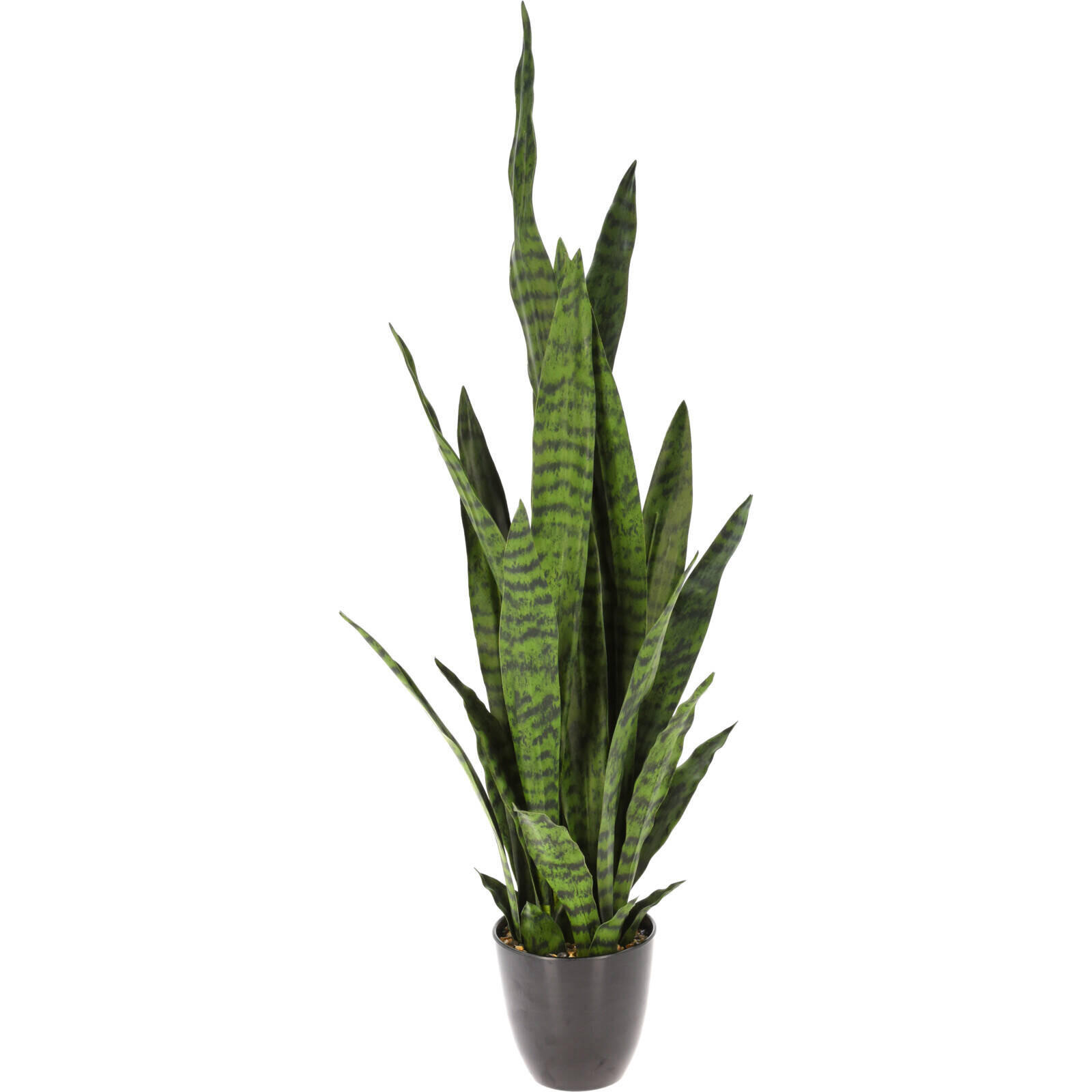 ZIMMERPFLANZE Sansevieria 92 cm - Grün, Kunststoff (92cm)