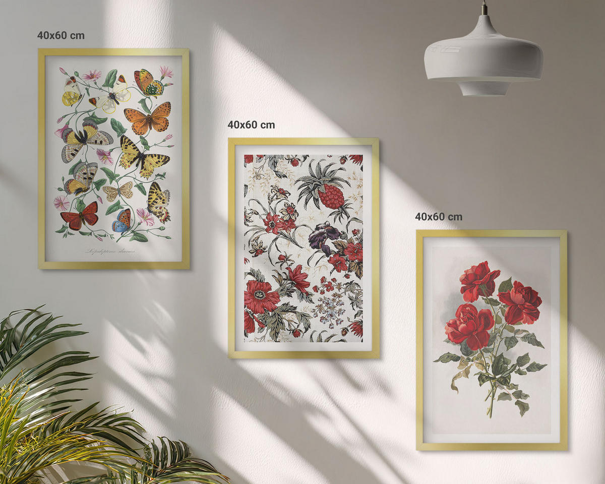 WANDBILDER 3er Set - 40x60 cm Goldrahmen - Schmetterlinge, Blumen, rote Rosen - Goldfarben, Kunststoff (40/60cm) - ArtPrintCave