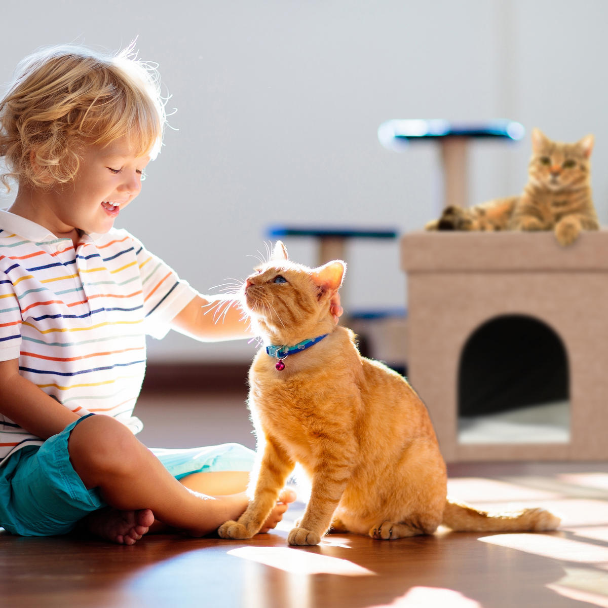 KATZENHÖHLE - Hellbraun, Holzwerkstoff/Textil (74.5/38.5/37cm) - Relaxdays