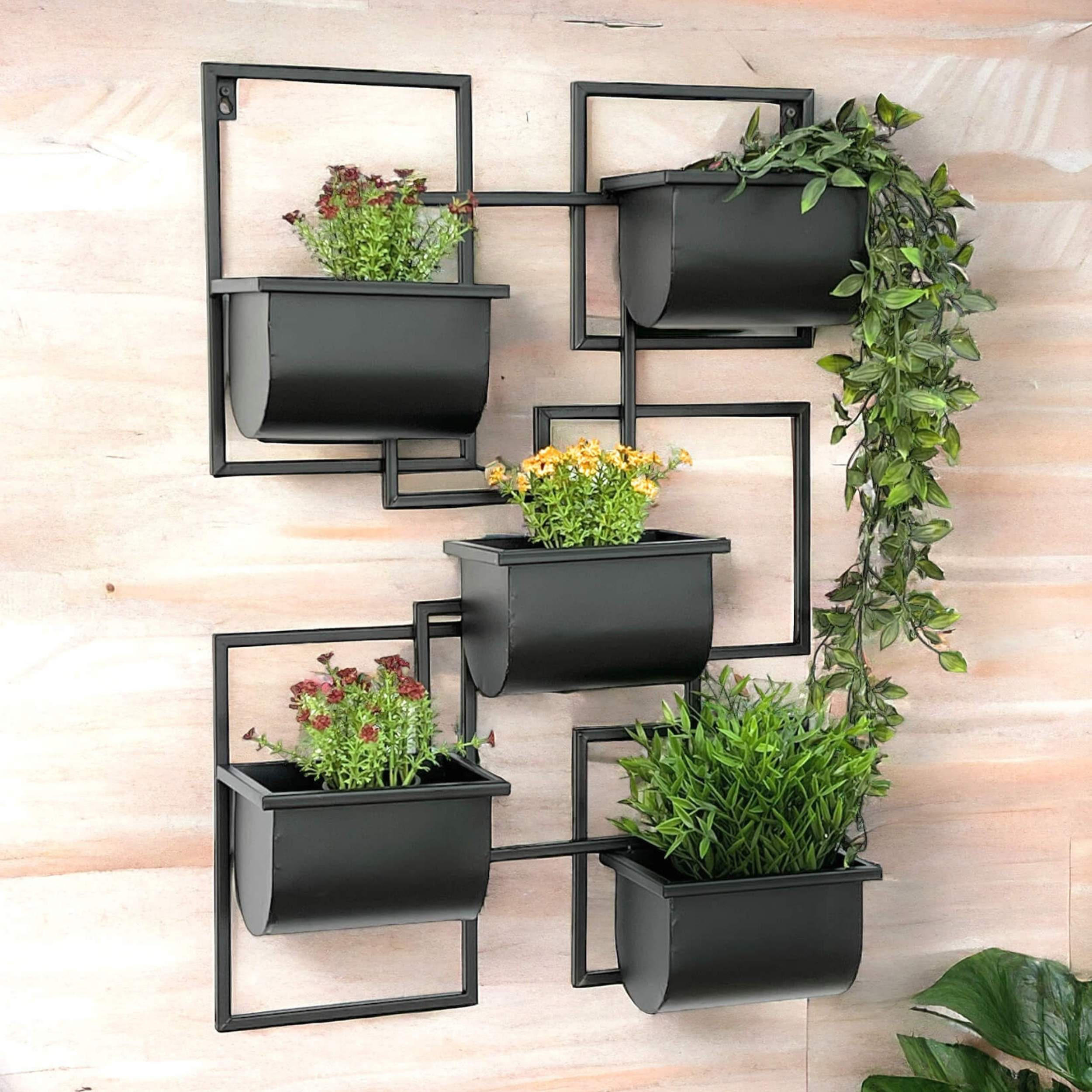 KRÄUTERREGAL Wand Metall Schwarz 48/13/70 cm - Schwarz, Metall (48/70/13cm) - DanDiBo