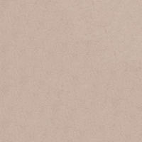 VLIESTAPETE Tranquil 1000x52cm - Roségold, Papier/Kunststoff (52/1000cm) - Boutique