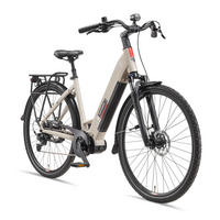 E-BIKE Cityrad RC680 Elektrofahrrad 28 Zoll Mittelmotor 10-Gang Kettenschaltung 705,6 Wh Pedelec - Grau, Metall (115cm) - Telefunken