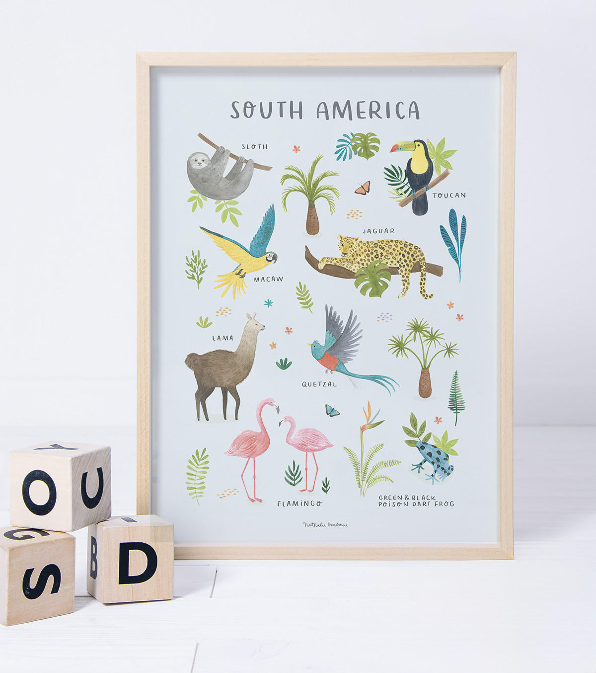 POSTER Tiere aus Südamerika, 30x40 cm - Multicolor, Papier (30/1/40cm) - Lilipinso