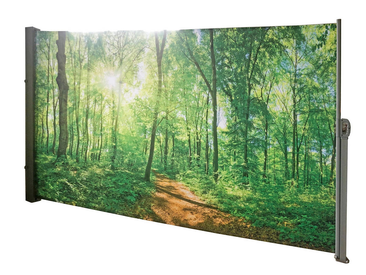 SEITENMARKISE Fabi Motiv Waldlichtung Mehrfarbig Markise ausziehbar - Grün, Kunststoff (9/160/300cm) - DELUKE