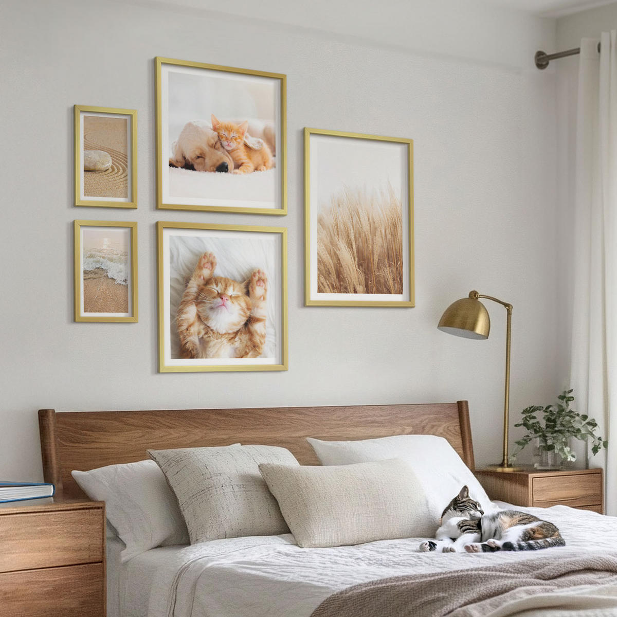 BILDER SET 5er Set - 50x50 cm & 20x30 cm & 40x60 cm Goldrahmen - Niedliche Tiere, Katzen, Hunde, Strand - Goldfarben, Kunststoff (40/60cm) - TULUP