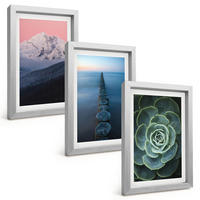 BILDER SET 3er Set - 20x30 cm Silberner Rahmen - Berge, rosa Himmel, Wasser, Sukkulente - Silberfarben, Kunststoff (20/30cm) - TULUP