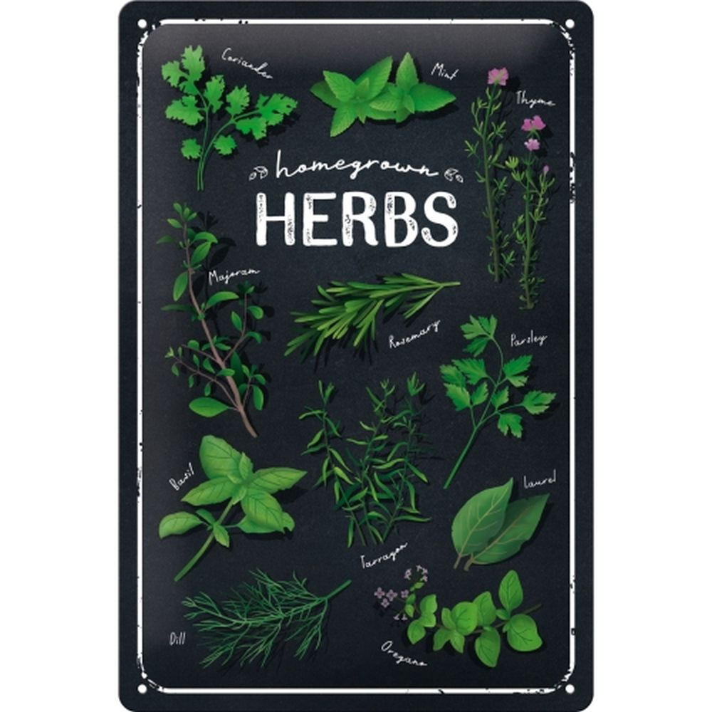 BLECHSCHILD 20/30 cm Home & Country Homegrown Herbs - Multicolor, Metall (20/30/0.2cm) - Nostalgic-Art