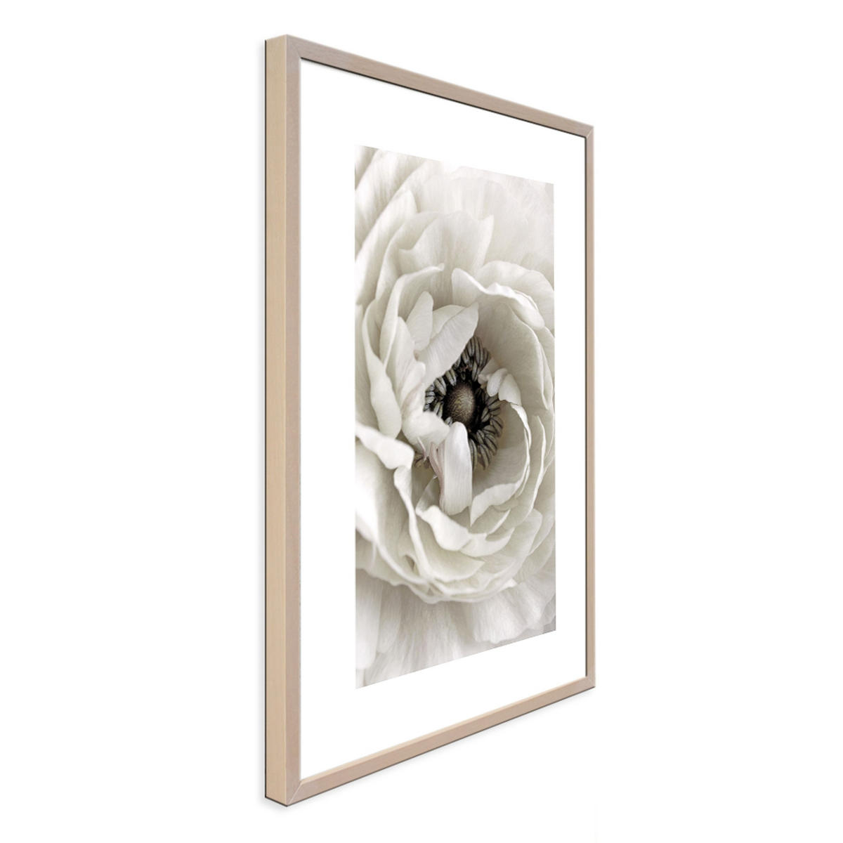 POSTER mit Rahmen 50x70 cm Blume weiß - Beige, Holz (51/71cm) - artissimo