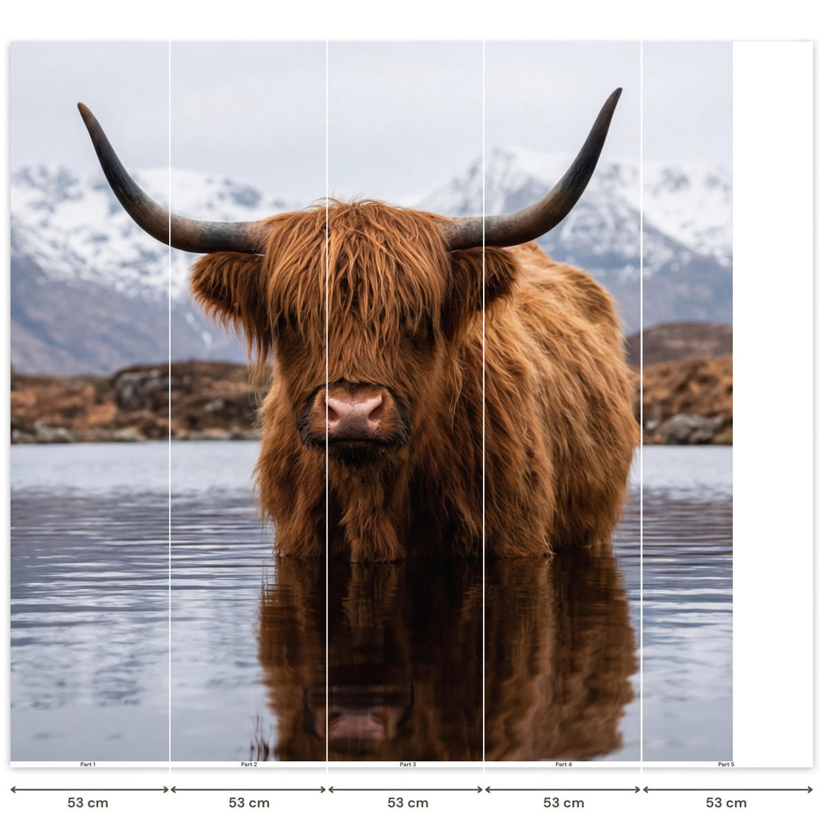 TAPETE - Schottischer Hochländer - Braun - Wasser - 240x220 cm - Braun, Papier (240/220cm) - OnlyWow