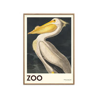POSTER mit Rahmen A.P. Atelier - The Zoo Collection — White Pelican — Edt. 001 - Pink/Eichefarben, Holz/Papier (70/100cm) - Poster&Frame