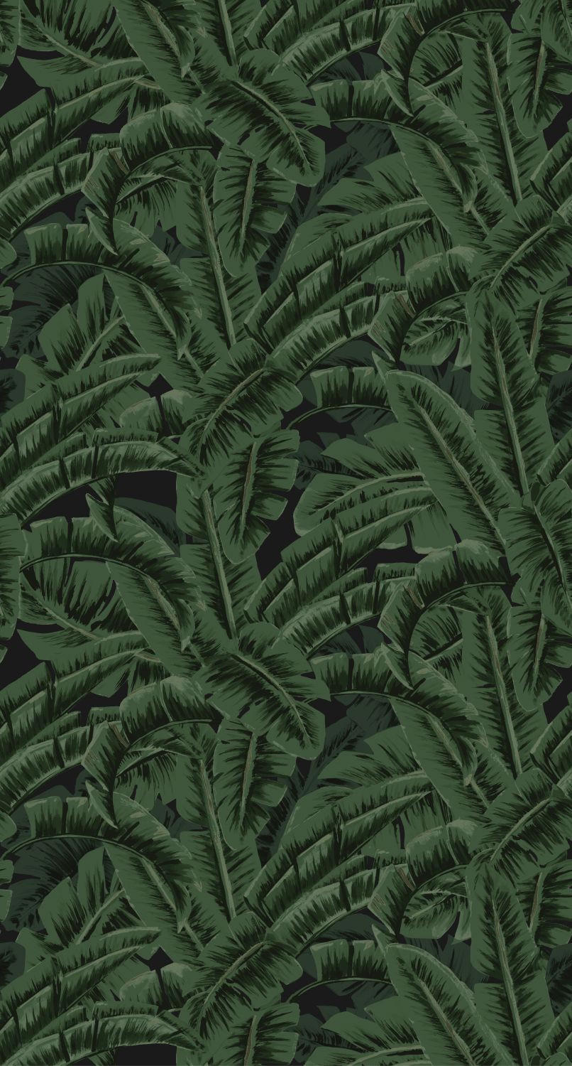 FOTOTAPETE Bananenblätter 150 x 279 cm - Grün, Papier (150/279cm) - ESTAhome