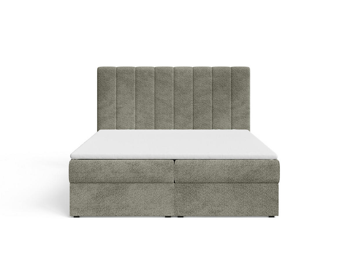BOXBETT 01 140 x 200 cm - Arena – Stilvoll und bequem Mit Bettkasten, PU-Topper, Federmechanismus, waschbarer Bezug - Olivgrün, Holz (140/200cm) - ROYAL24_MARKT