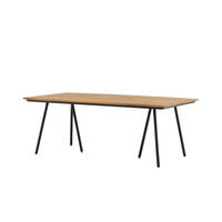 GARTENESSTISCH CHAN Braun 100x200x74 cm - Braun, Holz (200/100/74cm) - FURNLUX