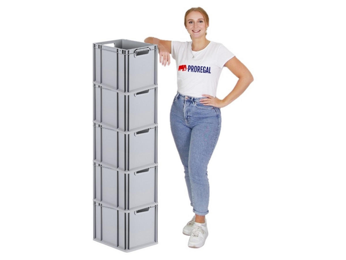 EUROBOX 5x Nextgen Economy Griffe Offen 32x30x40cm 30 Liter - Grau, Kunststoff (30/32/40cm) - PROREGAL
