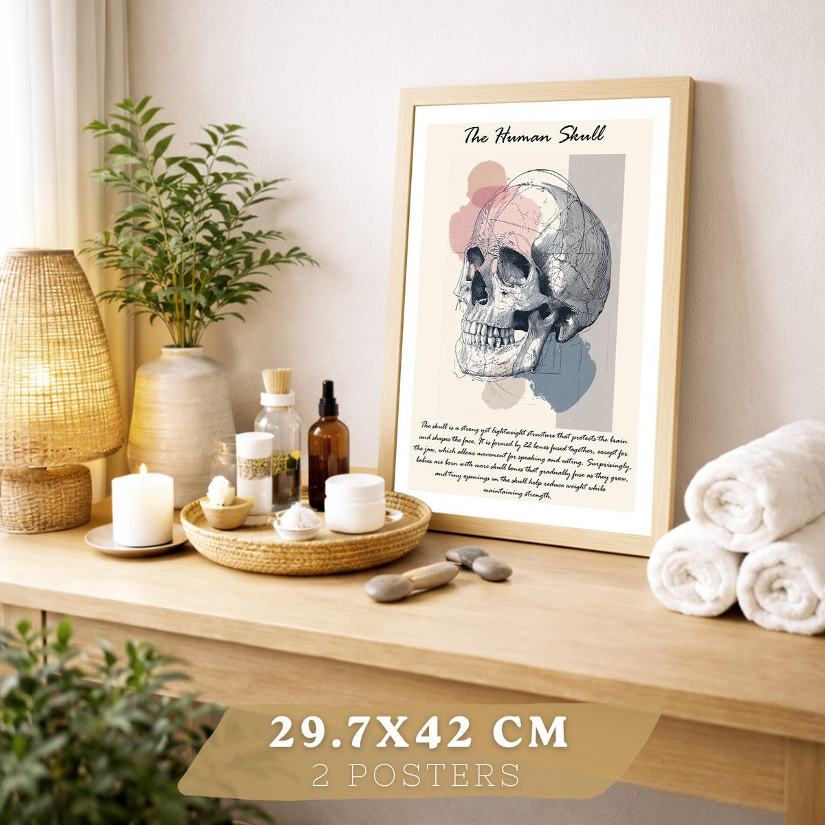 POSTER Set aus 2 Anatomie Mensch Lernposter Drucke und Wandbilder mit Skelett Rippen und Schädel Klinik Büro Dekoration Größe Leichter Holzrahmen A3 - Beige, Papier (29.7/42/3cm) - Nacnic