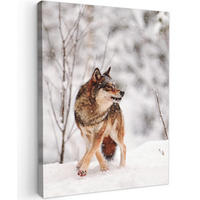 LEINWANDBILD Wolf - Winter - Schnee - Natur - Tiere 60x80 cm - Haselnussfarben, Textil (60/80cm) - MuchoWow