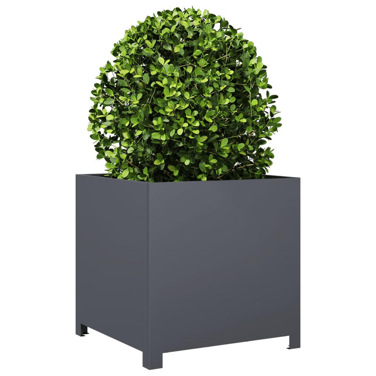 PFLANZKÜBEL Anthrazit 50/50/50 Cm Stahl - Anthrazit, Metall (50/50/50cm) - vidaXL