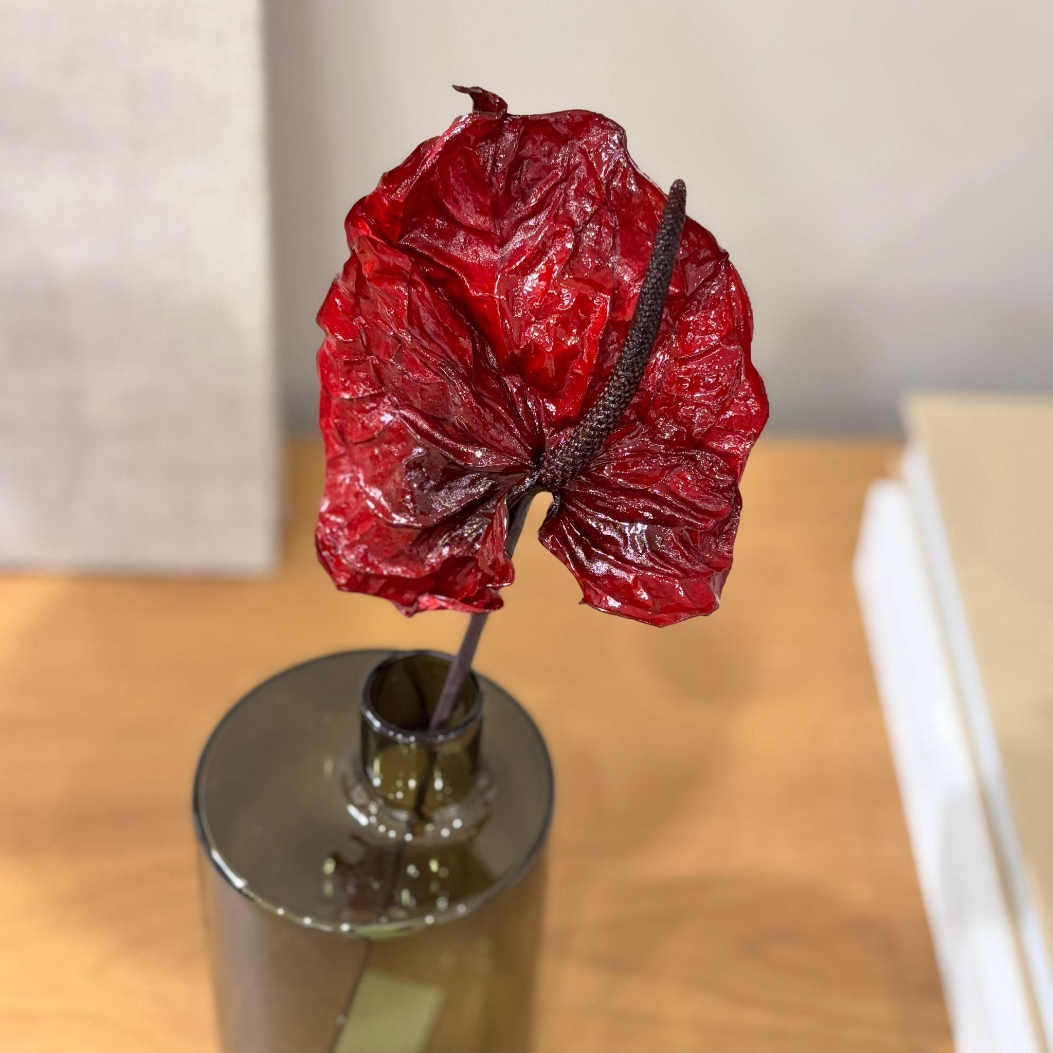 ANTURIE konserviert einzeln - rot - Hellrot, Naturmaterialien (30cm) - Lykke & You