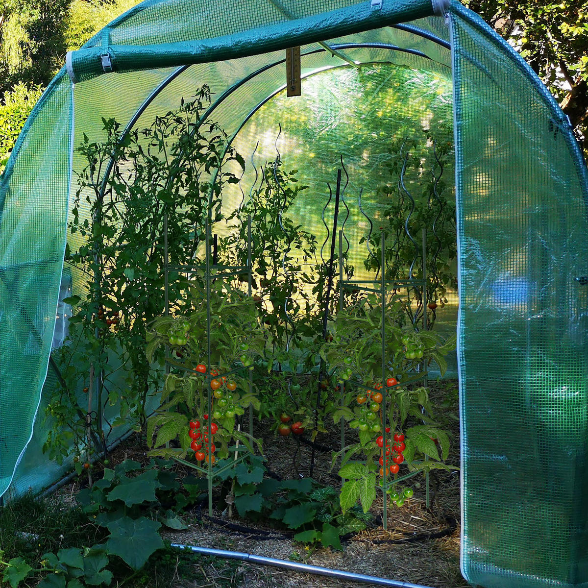 4XHOROLEZECKÁ podpěra - tmavě zelená, kov/plast (32/90/32cm) - Relaxdays