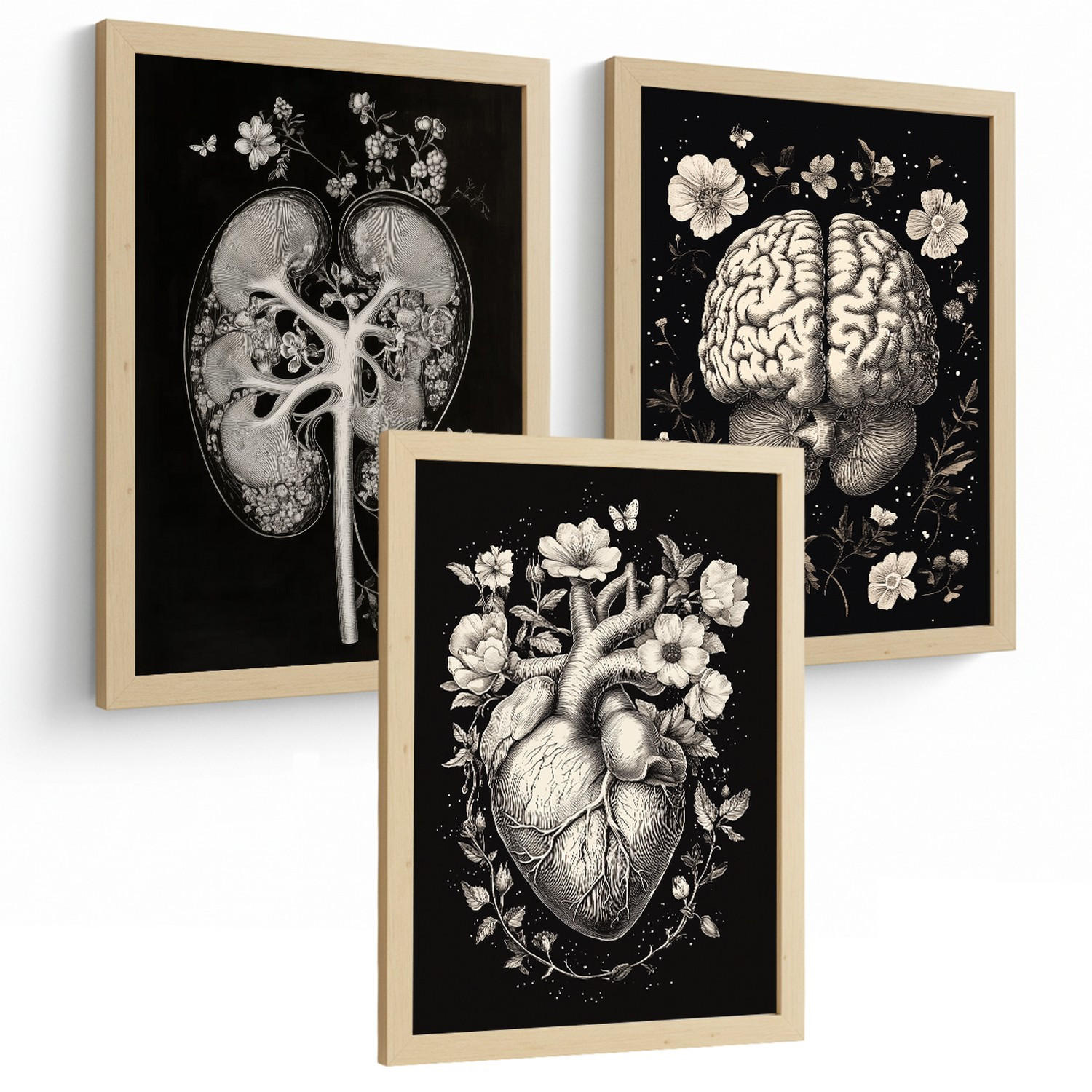 POSTER Set aus 3 Anatomie Mensch Drucke und Wandbilder mit Niere Harnsystem Gehirn und Herz Klassisches Schwarz Weiß Design Größe Rahmenlos A3 - Klar, Papier (29.7/42/3cm) - Nacnic