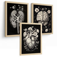 POSTER Set aus 3 Anatomie Mensch Drucke und Wandbilder mit Niere Harnsystem Gehirn und Herz Klassisches Schwarz Weiß Design Größe Rahmenlos A3 - Klar, Papier (29.7/42/3cm) - Nacnic