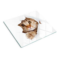 GLASPLATTE 60x52 cm Katze - Beige, Glas (60/52cm) - TULUP