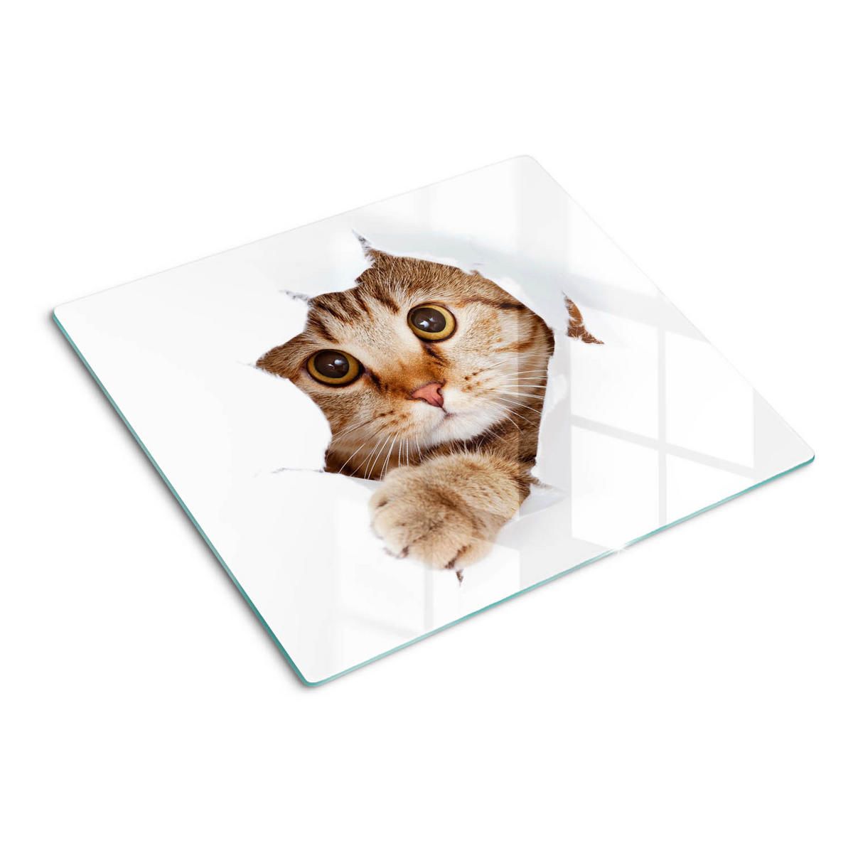 GLASPLATTE 60x52 cm Katze - Beige, Glas (60/52cm) - TULUP