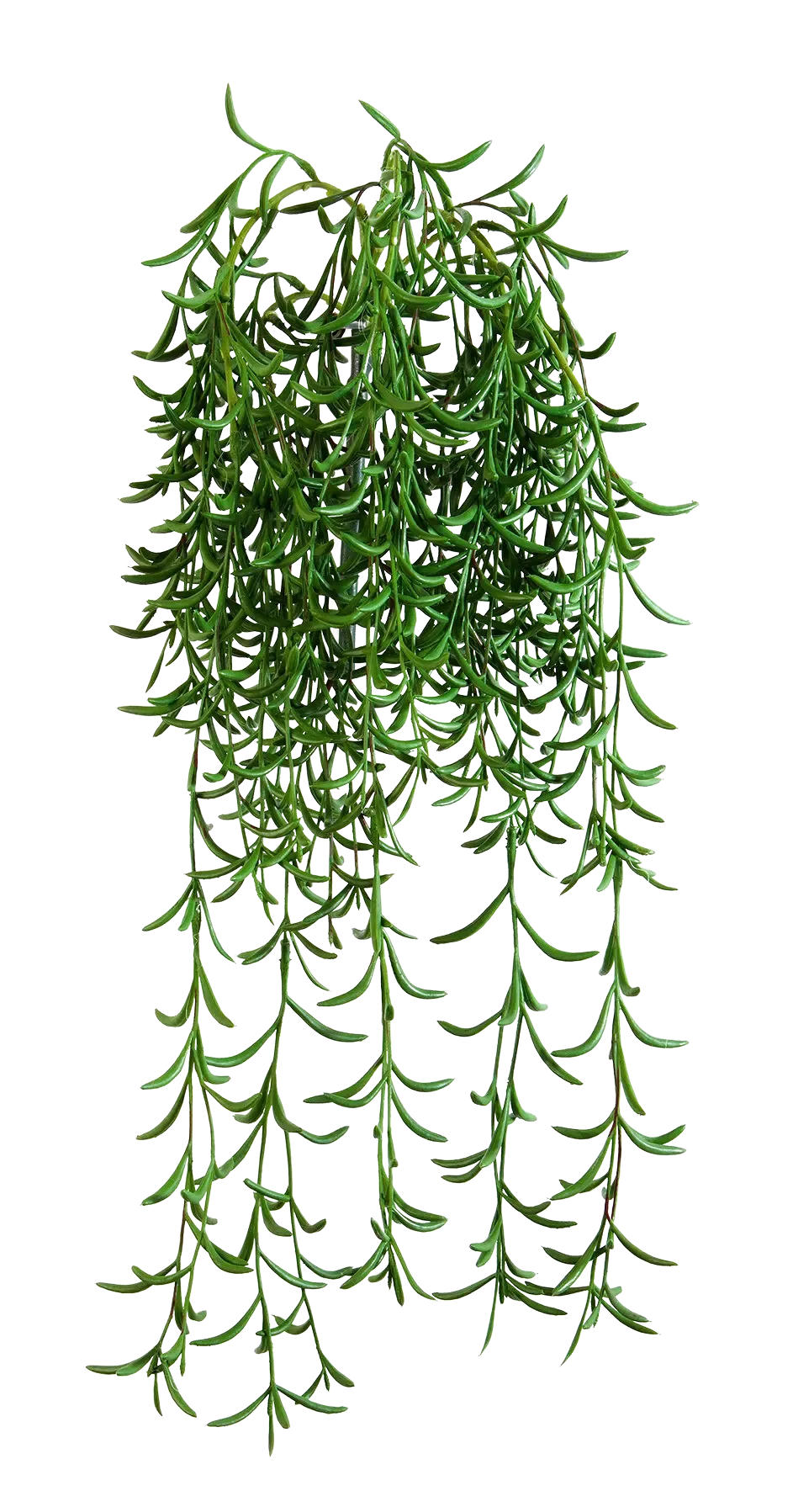 KUNSTPFLANZE Künstliche Hänge-Sukkulente - Henriette 45 cm - Grün, Kunststoff (45cm) - aplanta